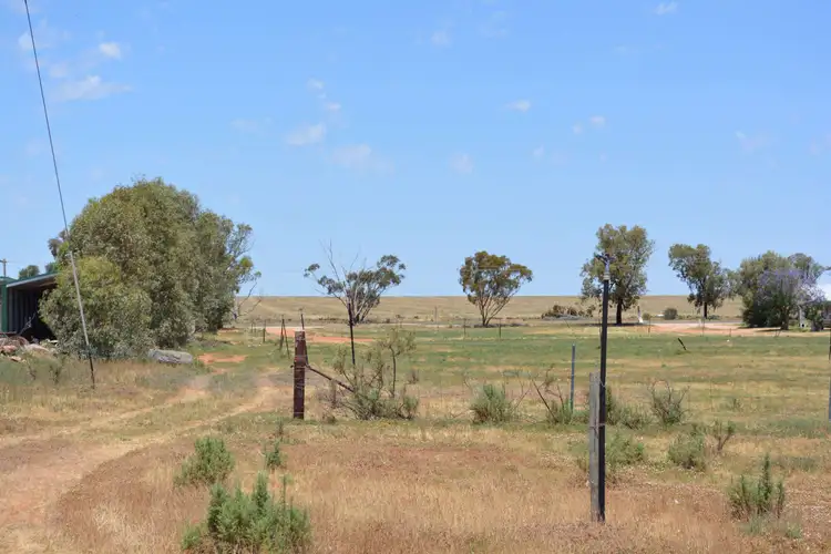 Fifth view of Homely rural property listing, 60 Werrimull Road North, Werrimull VIC 3496