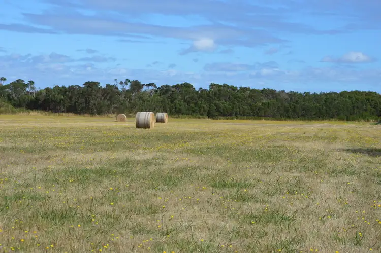 Second view of Homely rural property listing, 00 McGrath Road, Woolamai VIC 3995