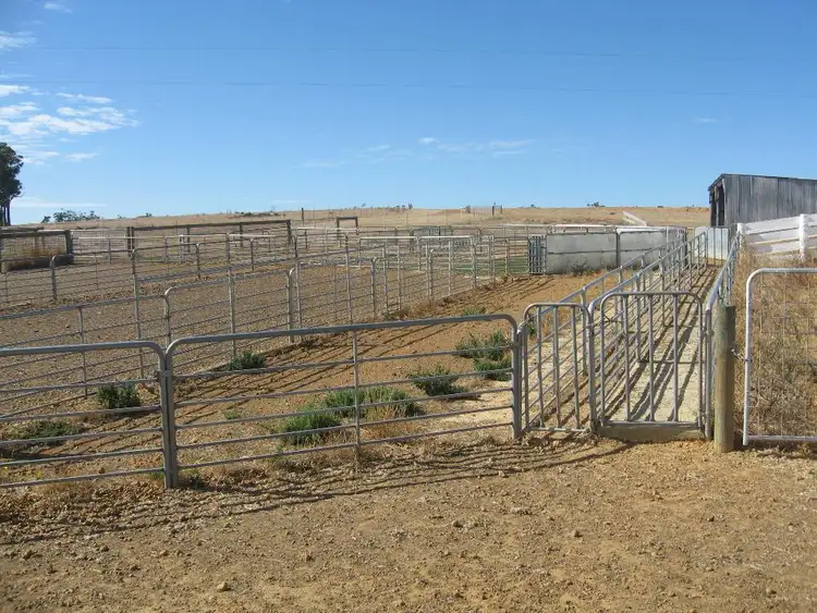 Fifth view of Homely rural property listing, 354 RANDALL ROAD, Perillup WA 6324