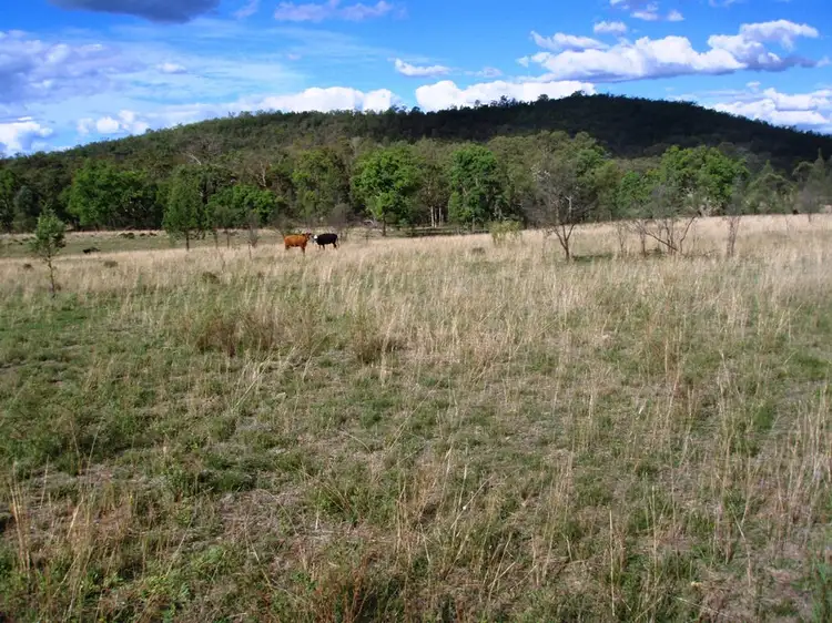 Seventh view of Homely rural property listing, 1095 Bedwell Downs, Wallangra NSW 2360