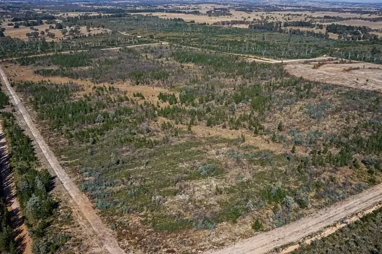Main view of Homely rural property listing, Lot 206 Kjollers Road, Orange NSW 2800