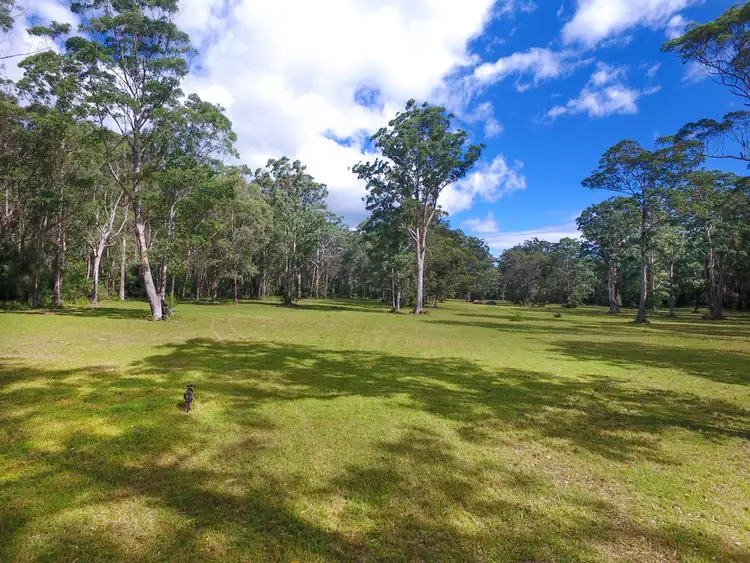 Sixth view of Homely rural property listing, Lot 6, 2408 The River Road, Milton NSW 2538