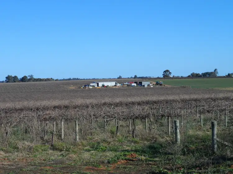 Seventh view of Homely rural property listing, Anderson & Derrick Roads, Loxton North SA 5333