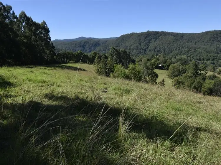 Fourth view of Homely rural property listing, 14 Upper Tuntable Falls Road, Nimbin NSW 2480