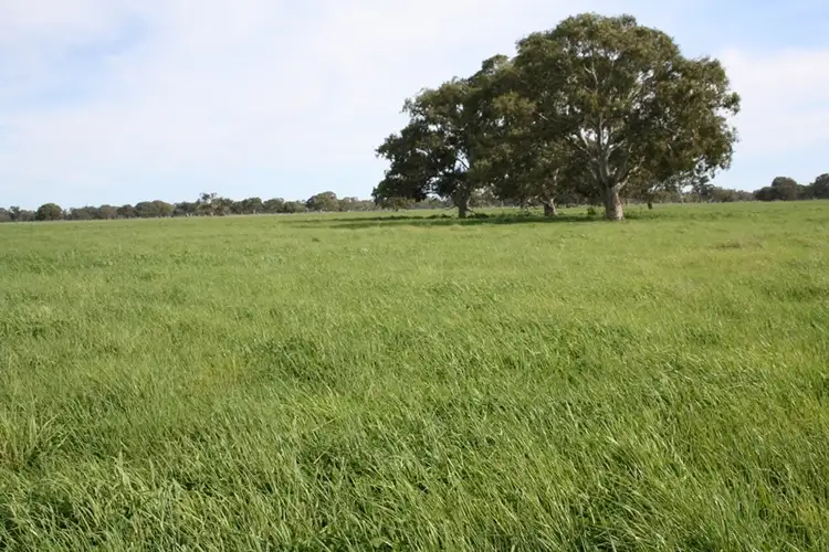 Sixth view of Homely rural property listing, 248 Cockys Lane "Carters", Lucindale SA 5272