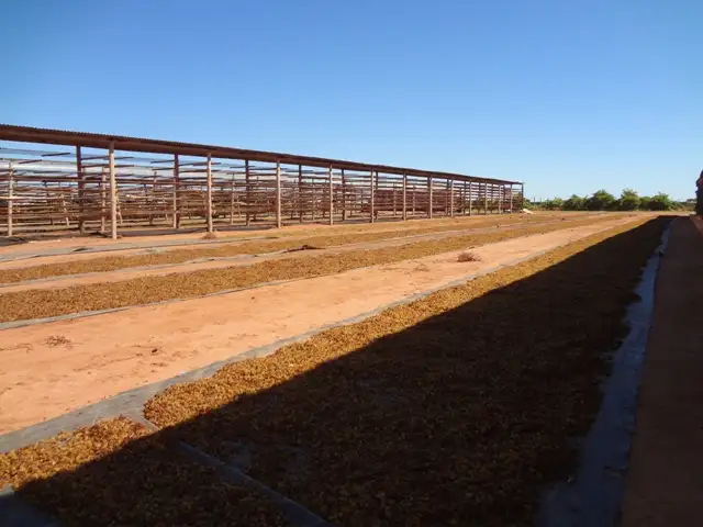 Sixth view of Homely rural property listing, 404 Cowanna Avenue, Merbein VIC 3505