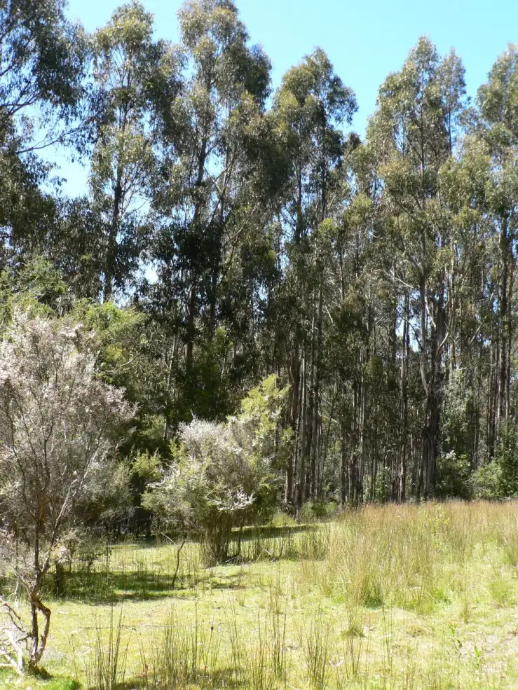 Third view of Homely land listing, 5370 Channel Highway, Gordon TAS 7150