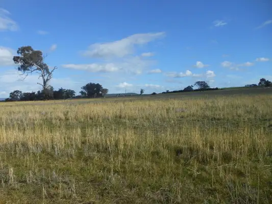 Fourth view of Homely rural property listing, Lot 2 360 Robinsons, Young NSW 2594