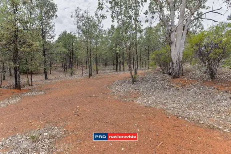 Fourth view of Homely land listing, Lot 13 Austral Road, Tamworth NSW 2340