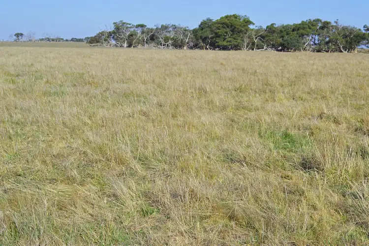 Fourth view of Homely rural property listing, 844 Harriet Road, Newland SA 5223