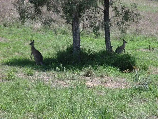 Third view of Homely land listing, 2 Engler St, Grantham QLD 4347