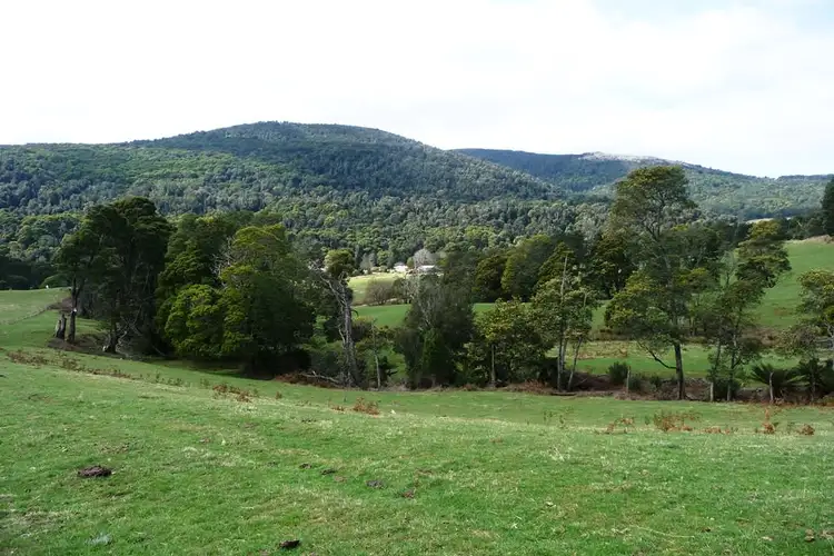 Second view of Homely rural property listing, 29371 Tasman Highway, Weldborough TAS 7264