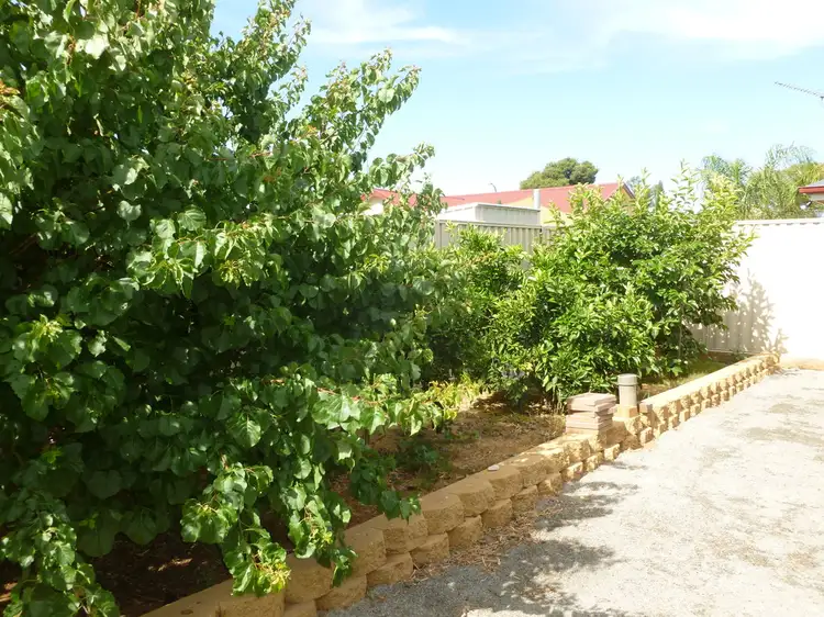 Fourth view of Homely house listing, 36 Cumnock St, Jamestown SA 5491