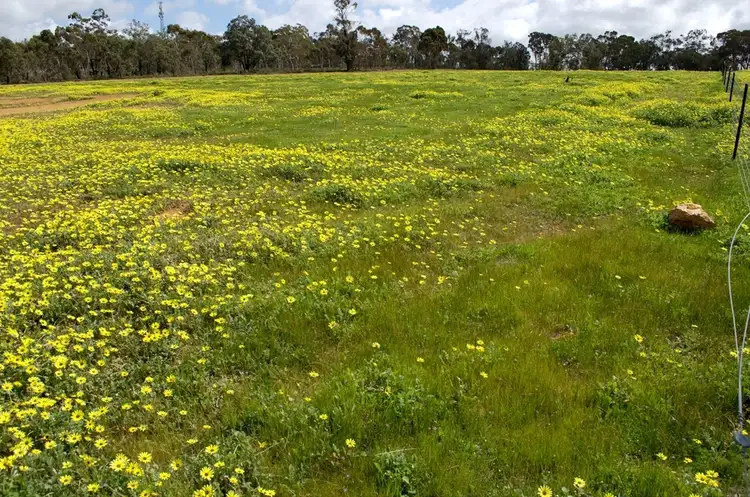 Fifth view of Homely land listing, Lot 413 Woylie Rise, Bakers Hill WA 6562