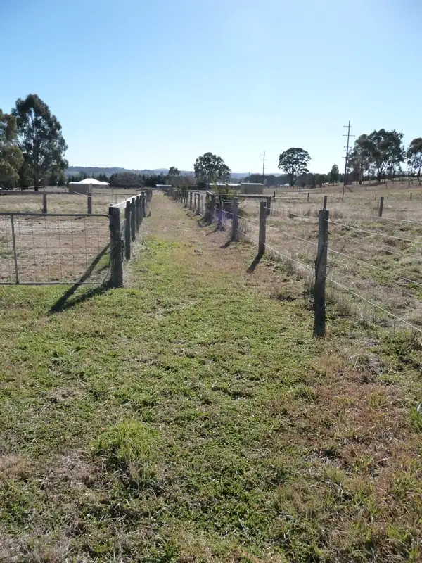 Fifth view of Homely rural property listing, 142 Bradleys Lane, Glen Innes NSW 2370