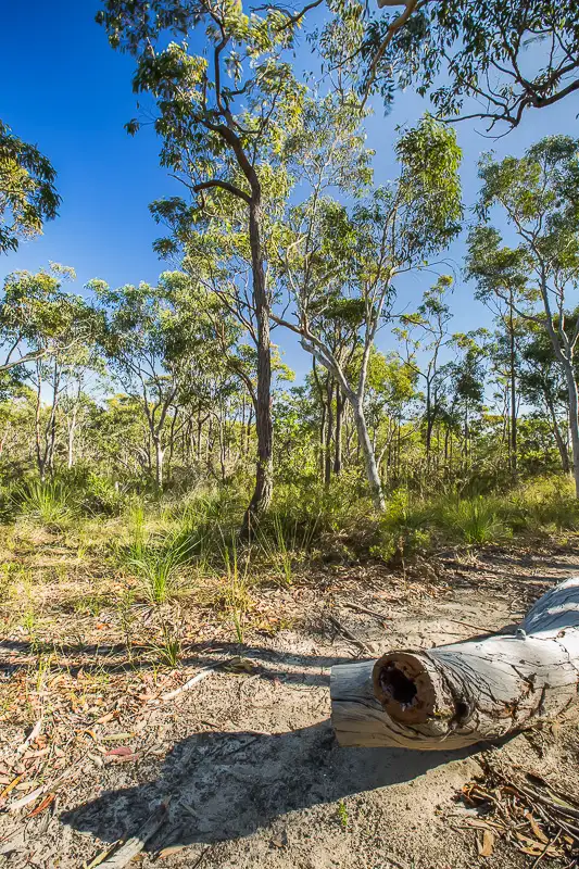 Third view of Homely land listing, 24 Karakunba Road, Wyee NSW 2259