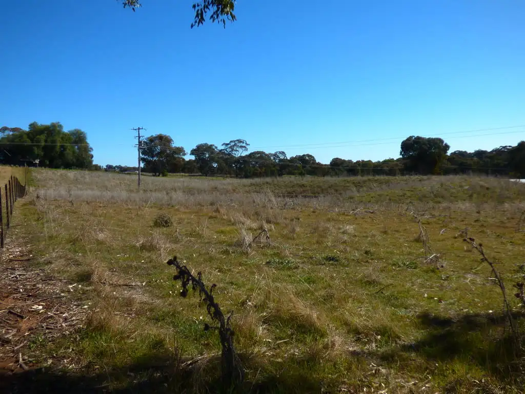 Main view of Homely land listing, 40 SAINES ROAD, Young NSW 2594