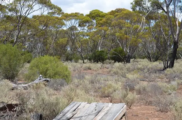 Fifth view of Homely land listing, 138 Gaston Road Fisher VIA, Truro SA 5356