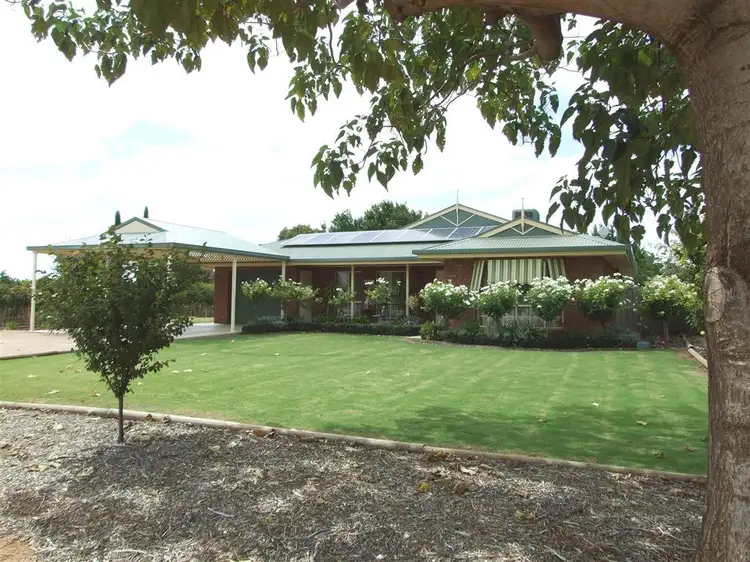 Main view of Homely house listing, 233 McKenzie Rd, Barmera SA 5345