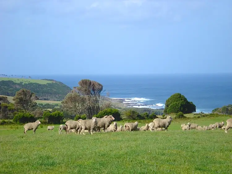 Main view of Homely rural property listing, 113 BOLD HEAD ROAD, King Island TAS 7256