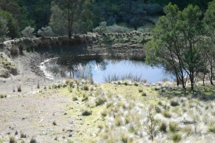 Fifth view of Homely rural property listing, 585 Newfoundland Rd, Taralga NSW 2580