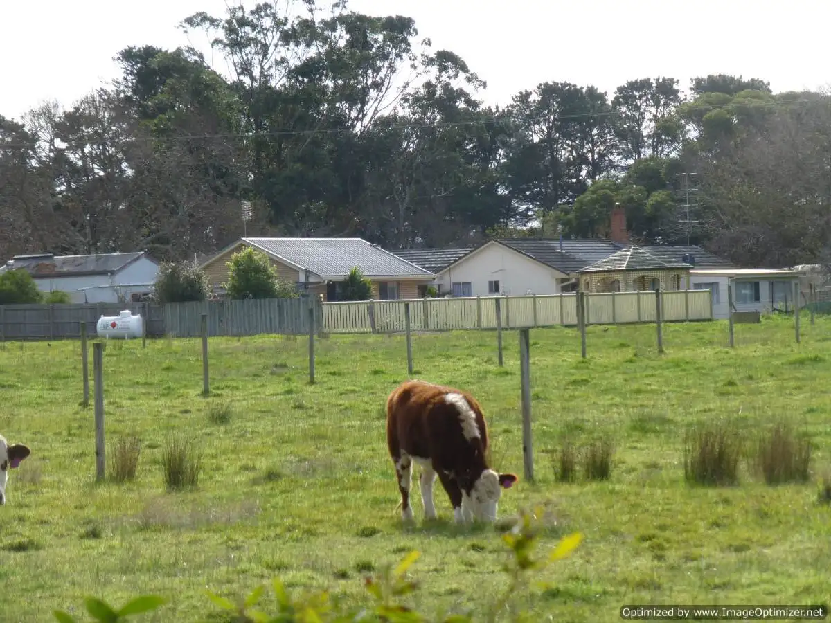 Main view of Homely rural property listing, 425 Races Lane, Bairnsdale VIC 3875