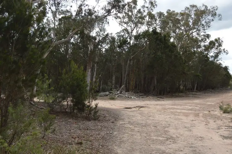 Fifth view of Homely rural property listing, 260 Sturgiss Lane, Tarago NSW 2580