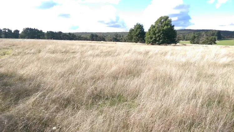 Seventh view of Homely land listing, Lot 41 Derwent Jacks Road, Berringa VIC 3351