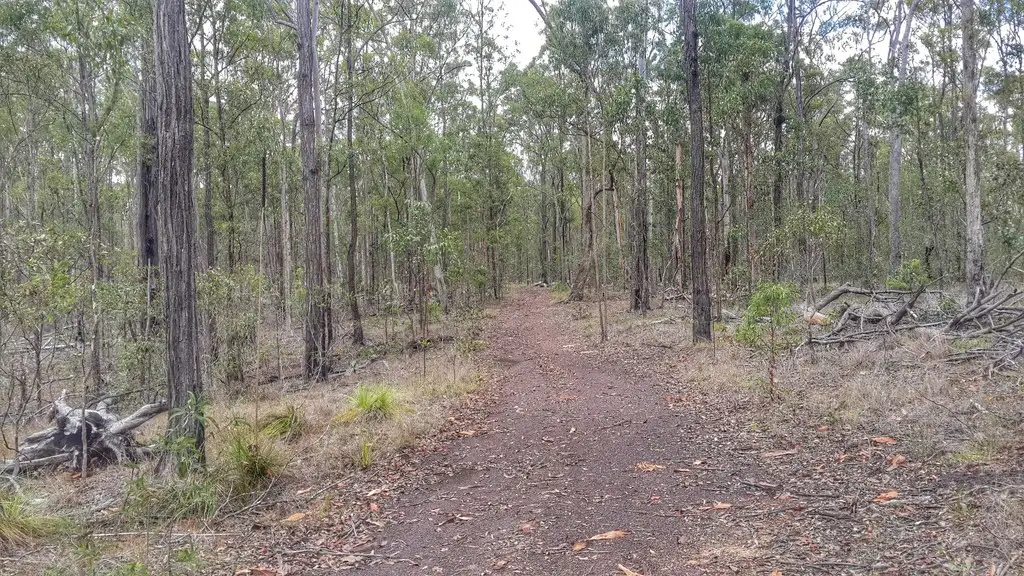 Main view of Homely land listing, 600 Beckmanns Road, Glenwood QLD 4570