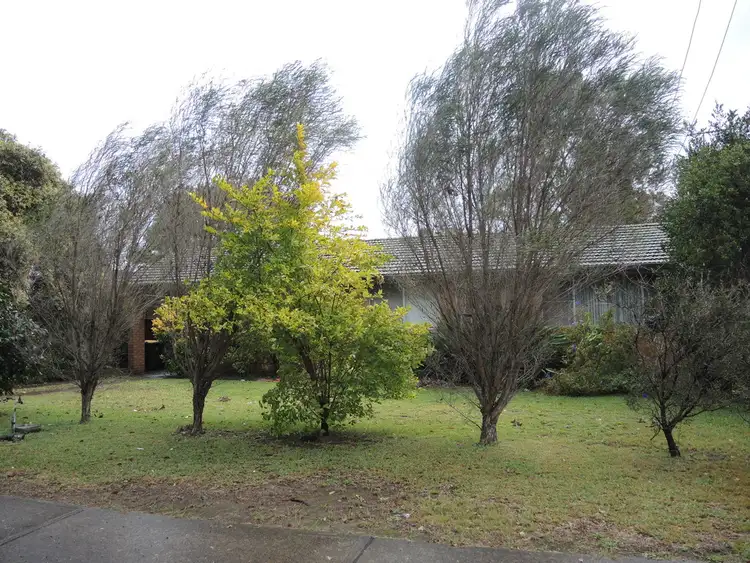 Fifth view of Homely house listing, 10 Carlisle Street, Ingleburn NSW 2565