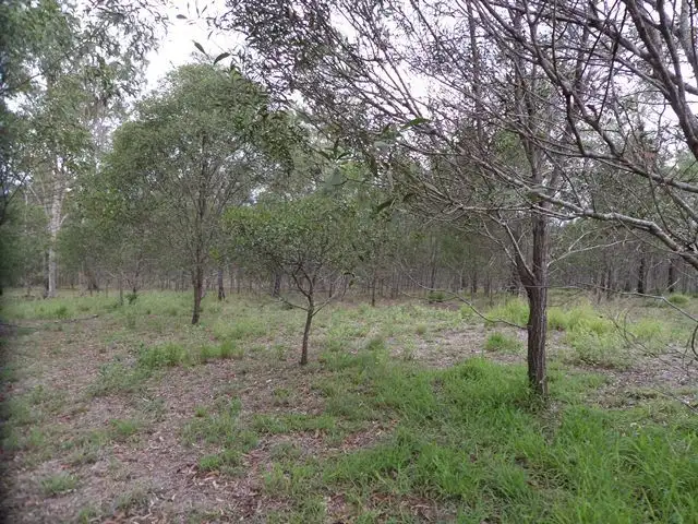 Fourth view of Homely land listing, 125 Peta Drive, Woodlands QLD 4343