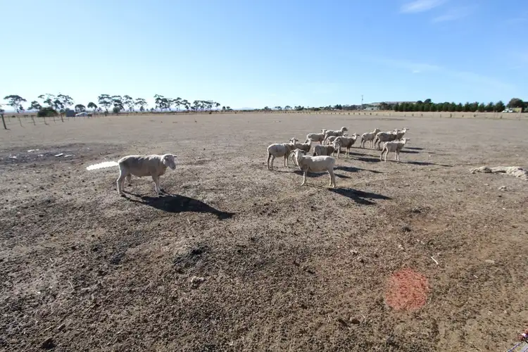 Seventh view of Homely land listing, 84 Heath Street, Clunes VIC 3370