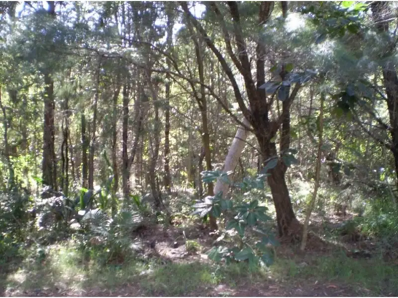 Main view of Homely land listing, 21 NOOGIE ST, Macleay Island QLD 4184