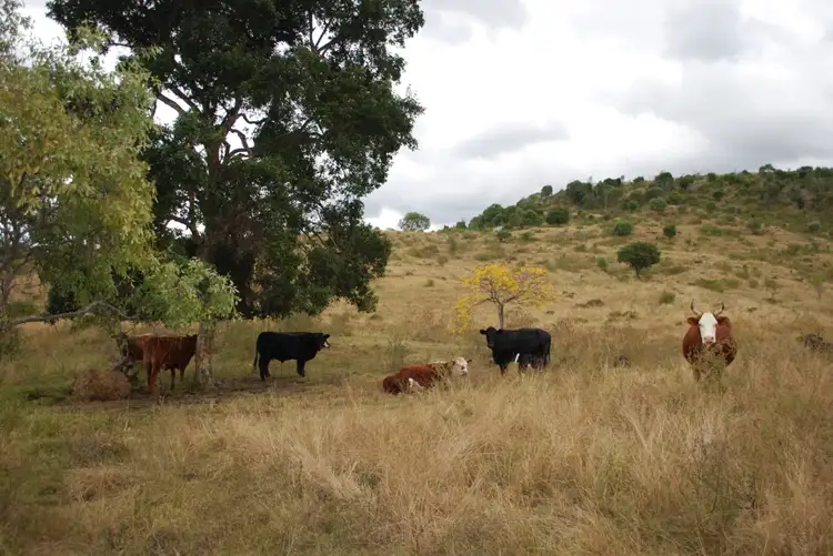 Third view of Homely land listing, L 1-2 Laidley Creek West Rd, Mulgowie QLD 4341