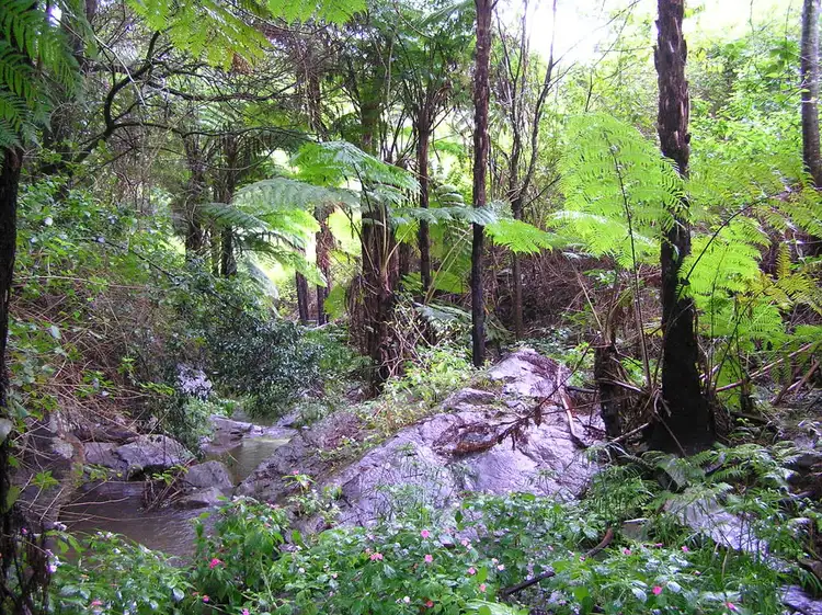 Second view of Homely land listing, 114 Bee Creek Road, Eungella QLD 4757