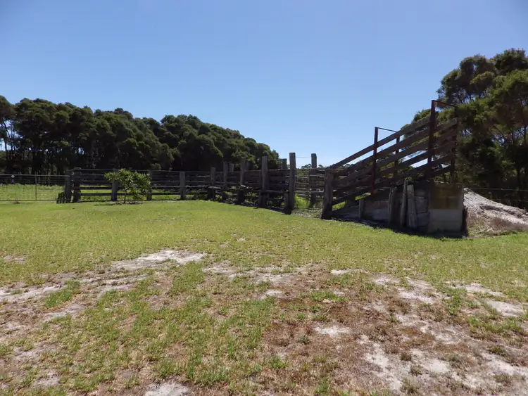 Sixth view of Homely rural property listing, 217 Tattenham Rd, Northcliffe WA 6262