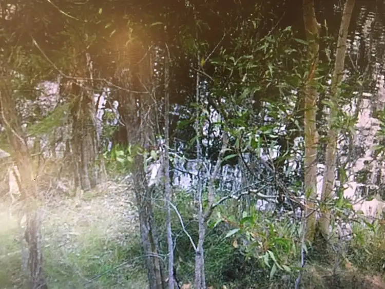 Seventh view of Homely rural property listing, Lot 73 Heales Road, Meadowvale QLD 4670