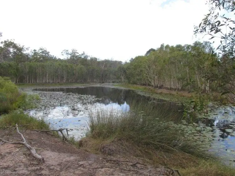 Fourth view of Homely rural property listing, 923 Winfield Road, Winfield QLD 4670