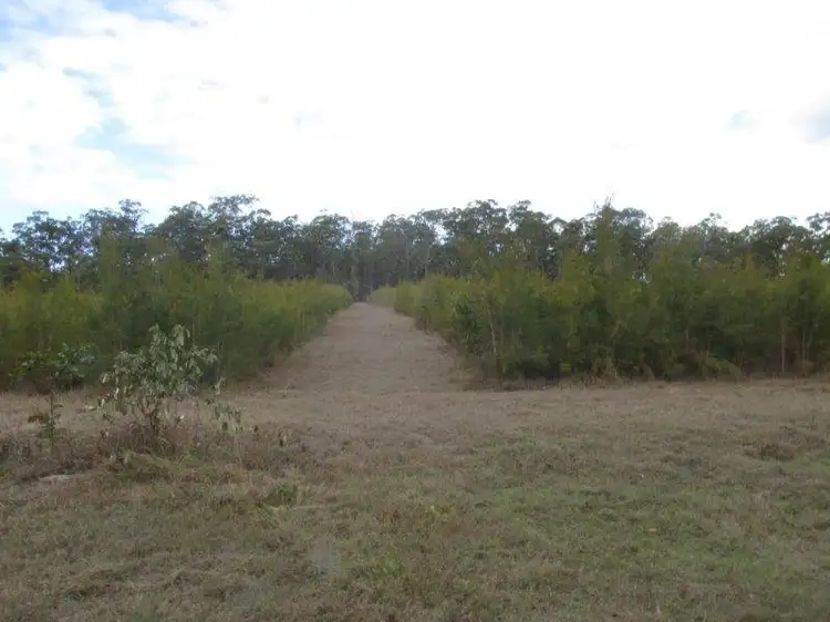 Fifth view of Homely rural property listing, 923 Winfield Road, Winfield QLD 4670