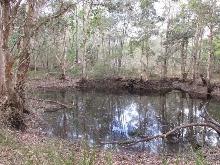 Seventh view of Homely rural property listing, 923 Winfield Road, Winfield QLD 4670