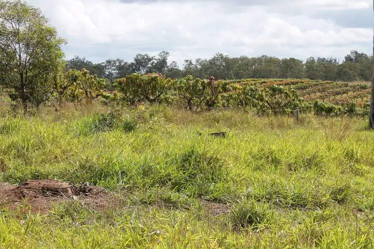 Fourth view of Homely rural property listing, 3896 Bundaberg Gin Gin Road, Bullyard QLD 4671
