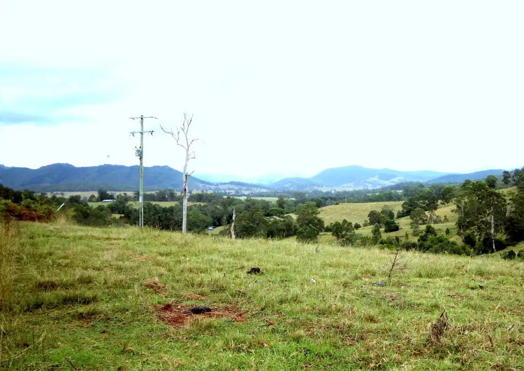 Main view of Homely rural property listing, 353b Wallis Road, Ellenborough NSW 2446
