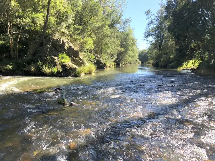 Second view of Homely rural property listing, 353b Wallis Road, Ellenborough NSW 2446