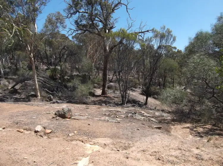 Main view of Homely land listing, 31 Breen Rise, Clackline WA 6564