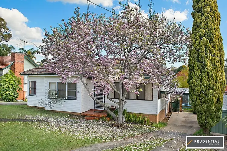 29 & 29A Grandview Drive, Campbelltown NSW 2560