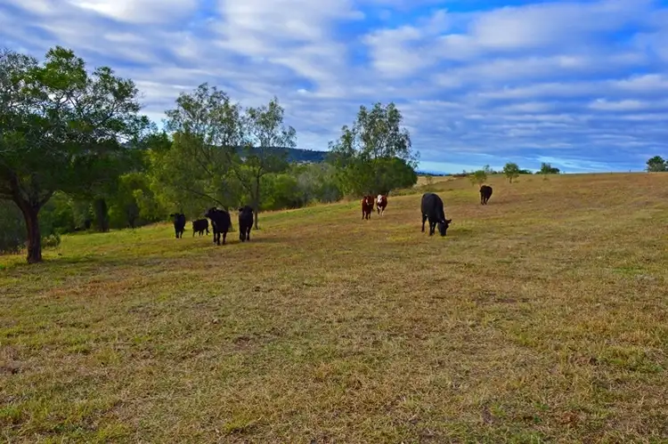 Third view of Homely land listing, 93 tallegalla two tree hill Rd, Tallegalla QLD 4340