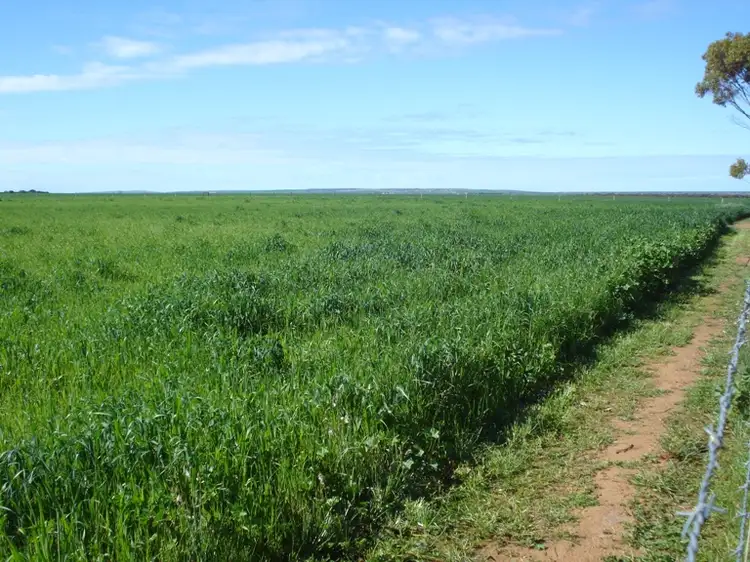 5098 Lincoln Highway, Tumby Bay SA 5605