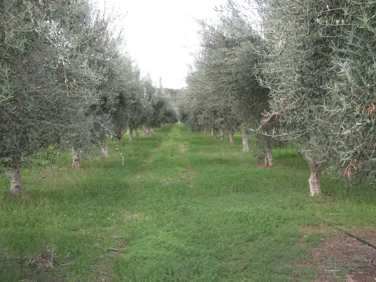 A3 Kallina Dr, Mypolonga SA 5254