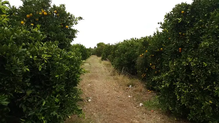 Third view of Homely rural property listing, 102 South Bokara Road, Mypolonga SA 5254