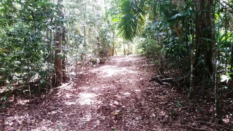 Fifth view of Homely house listing, 35 Silver Ash Road, Daintree QLD 4873